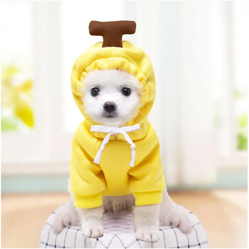 Cute Reindeer Dog Hoodie - Warm Pet Costume for Small Dogs & Cats - Frog & Cheese Designs - Chihuahua & Puppy Clothes - XXL Size Available