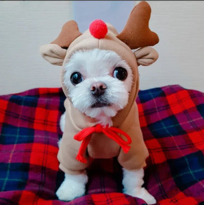 Cute Reindeer Dog Hoodie - Warm Pet Costume for Small Dogs & Cats - Frog & Cheese Designs - Chihuahua & Puppy Clothes - XXL Size Available