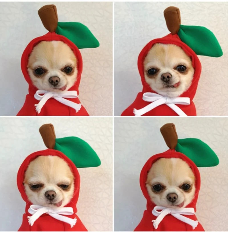 Cute Reindeer Dog Hoodie - Warm Pet Costume for Small Dogs & Cats - Frog & Cheese Designs - Chihuahua & Puppy Clothes - XXL Size Available