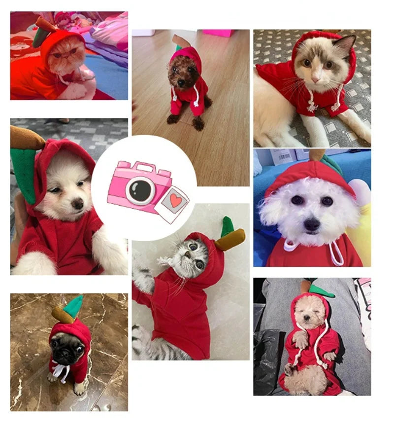 Cute Reindeer Dog Hoodie - Warm Pet Costume for Small Dogs & Cats - Frog & Cheese Designs - Chihuahua & Puppy Clothes - XXL Size Available