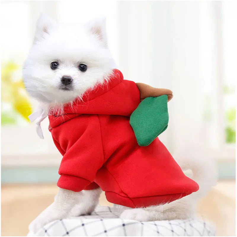 Cute Reindeer Dog Hoodie - Warm Pet Costume for Small Dogs & Cats - Frog & Cheese Designs - Chihuahua & Puppy Clothes - XXL Size Available