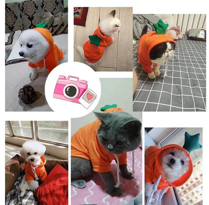 Cute Reindeer Dog Hoodie - Warm Pet Costume for Small Dogs & Cats - Frog & Cheese Designs - Chihuahua & Puppy Clothes - XXL Size Available