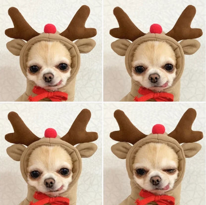 Cute Reindeer Dog Hoodie - Warm Pet Costume for Small Dogs & Cats - Frog & Cheese Designs - Chihuahua & Puppy Clothes - XXL Size Available